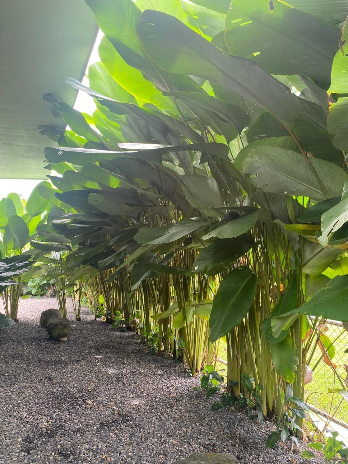 Toucan Home La Fortuna Exterior foto
